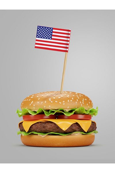 AYKUT OFSET 50 Pieces America-American Usa Flag Toothpicks, Cake, Cup Cake, Hamburger Toothpicks 15 cm