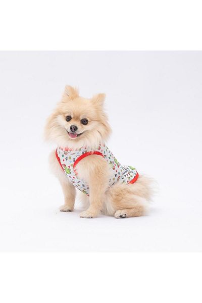 Pawstar Happy Cactus Cat Dog T-Shirt - Cat Dog Apparel