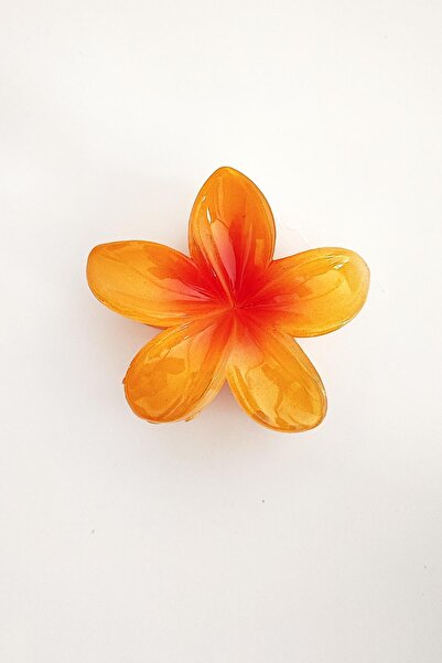 New Obsessions Large Hibiscus Luxury Acetate Latch Buckle