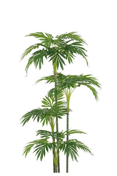 Generic Artificial palm tree (4 branches) with a cylindrical plastic stand