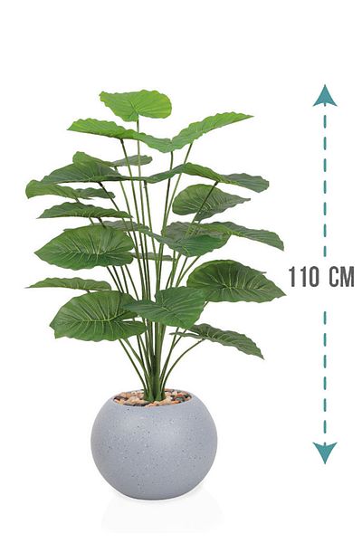 Generic Artificial Alocasia Heart Leaf Seedling in Round Plastic Pot