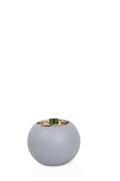 Generic Artificial Alocasia Heart Leaf Seedling in Round Plastic Pot