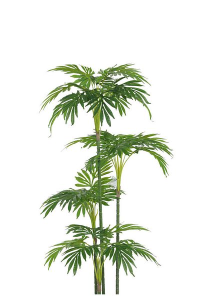 Generic Artificial palm tree (4 branches) with a cylindrical plastic stand