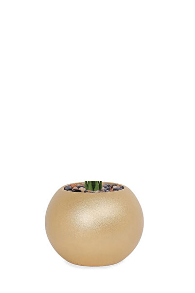 Generic Artificial Alocasia Heart Leaf Seedling in Round Plastic Pot