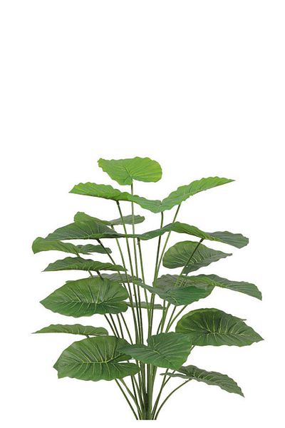 Generic Artificial Alocasia Heart Leaf Seedling in Round Plastic Pot