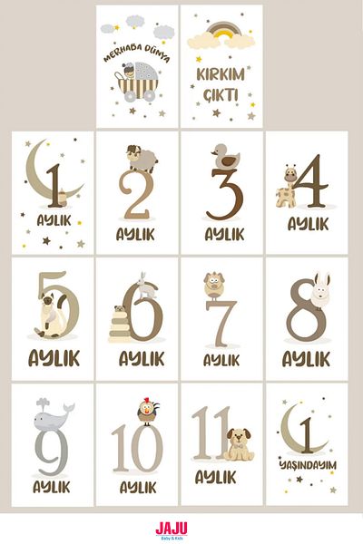 Jaju Baby Newborn Baby Month Cards |   1-12 Months Birth & Forty Release |   Photo Shoot Unisex Memory Cards Set