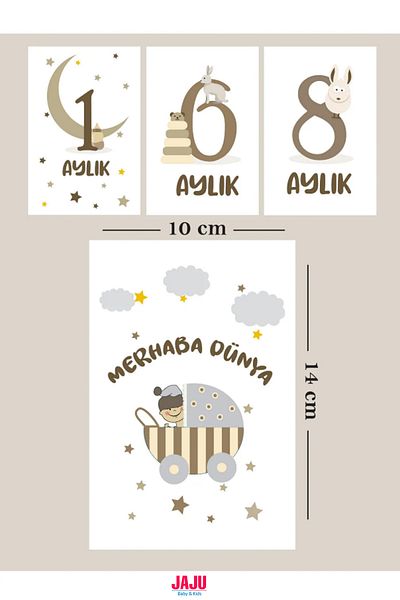 Jaju Baby Newborn Baby Month Cards |   1-12 Months Birth & Forty Release |   Photo Shoot Unisex Memory Cards Set