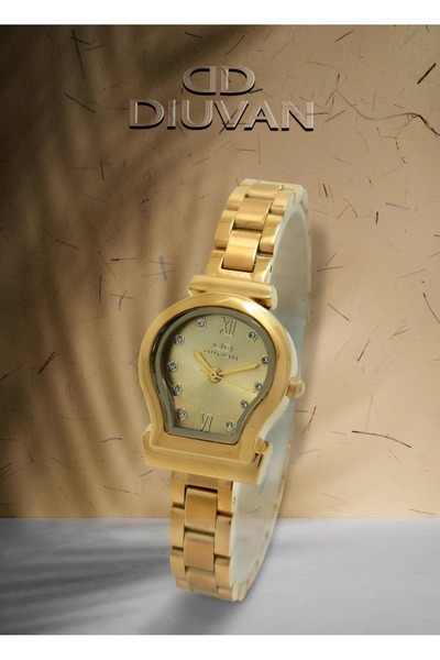 Van ساعه نسائية استانلس استيل باللون الذهبي