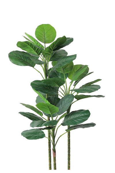 Generic Artificial Vius Umbellata Tree in a Plastic Cylinder Pot