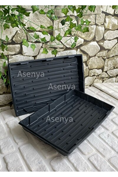 Asenya Fide Viyol Tepsisi 6 Adet Viyol Tabağı Viyol Altlığı Saksı Tabağı Saks...