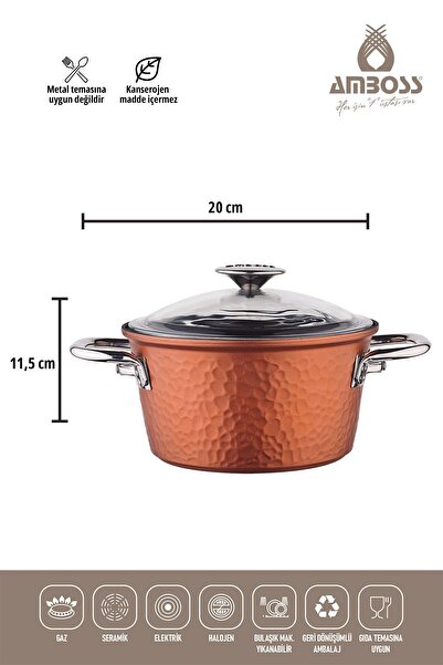 Amboss One Piece Cast 20 cm Titanium Coated Deep Pot with Glass Lid