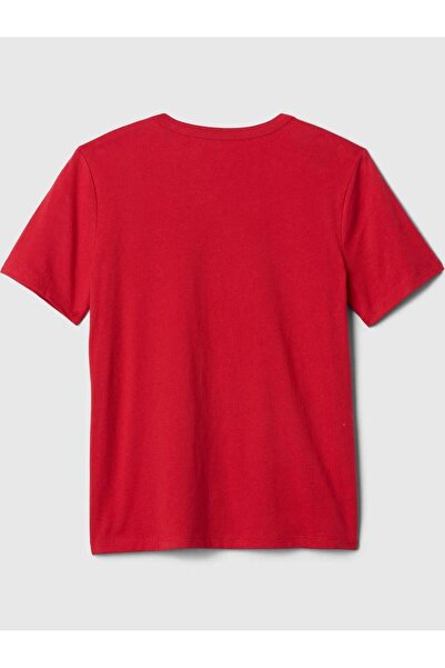 GAP 708370000   V-Bass Ss Logo Tee Boy's T-Shirt