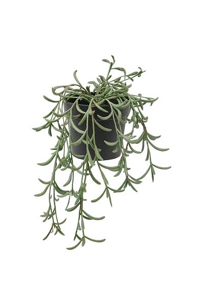 FEJKA Artificial Potted Plant, Indoor/Outdoor/Banana Cluster Hanging, 9 cm