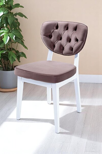 MYMASSA Boston Sandalye - Babyface Kapuçino - Beyaz Gürgen Iskelet - Salon Sa...