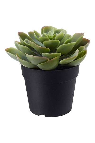 FEJKA Artificial Plant in Pot, Indoor/Outdoor Succulent Tree, 12cm x 9cm