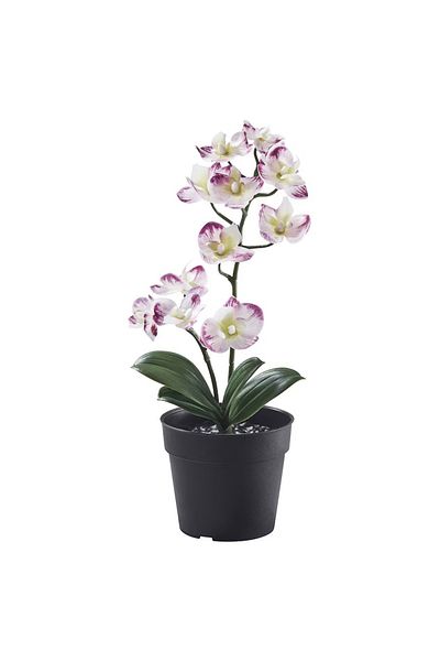 FEJKA Artificial Potted Plant, Indoor/Outdoor Orchid/Light Purple, 24cm x 9cm