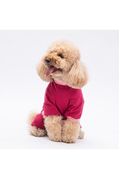 Pawstar Go Teddy Bear Cat Dog Pajamas - Cat Dog Jumpsuit - Cat Dog Outfit