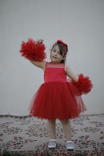 LastingBeauty Girl Child Dress Tulle Dress