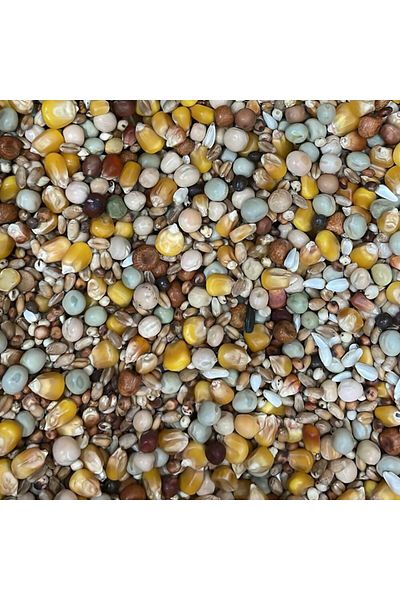 Birdwe Original Food Mix for Pigeons by Byers 25kg