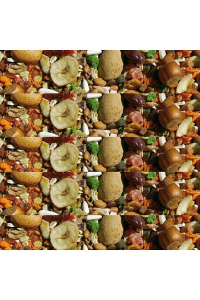Manitoba Fruit Cocktail Food for Parrots - Manitoba 4kg