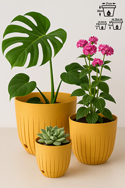 ToXA 3lü Çizgi Saksı Seti Plastik Delikli Tabaklı Çiçek Saksısı Set