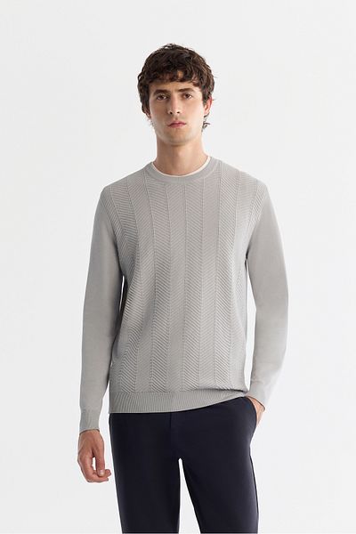 Avva Men's Gray Crew Neck Jacquard Rayon Knitwear Sweater A42Y5072