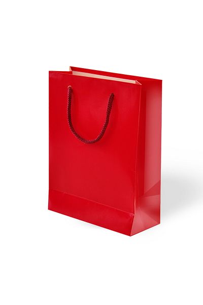 ALPJOY Red Cardboard Bag 25X30X9Cm 10 Pieces