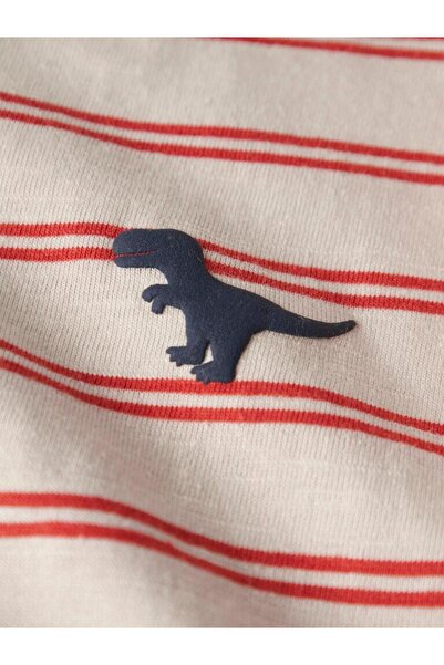 name ıt Nmmvoby Ss Nreg Top