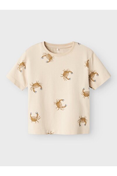 name ıt Nmmfille Ss Top Box