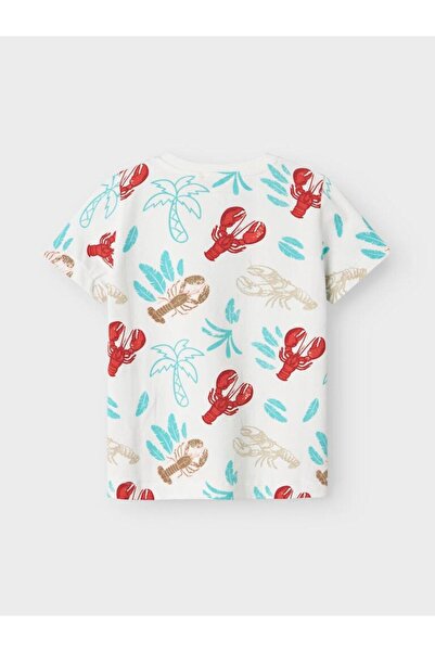 name ıt Nmmfelen Ss Top