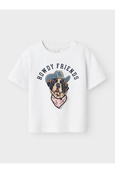 name ıt Nmmhasse Nreg Ss Top