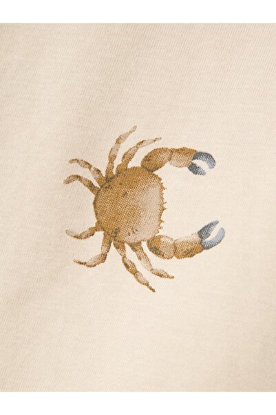 name ıt Nmmfille Ss Top Box