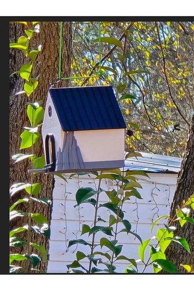 Bofen Decorative Modern Bird House |   Waterproof - Wind Resistant Birdhouse