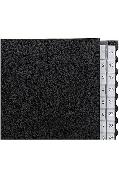 STOREMAX Mu-Artshop 5931 1-31 Black Document Organizer File, Matte Black Tnca 871301
