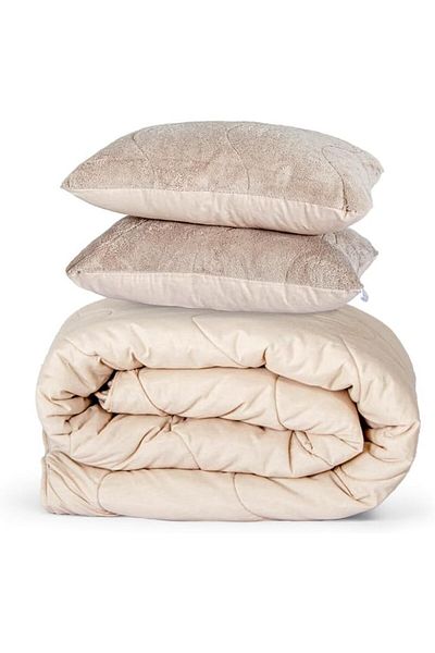 STOREMAX Sellbuystore Home Bedding Welsoft Cappuccino Comforter Set Double (2Pcs Silicone Pillow and Quilt)