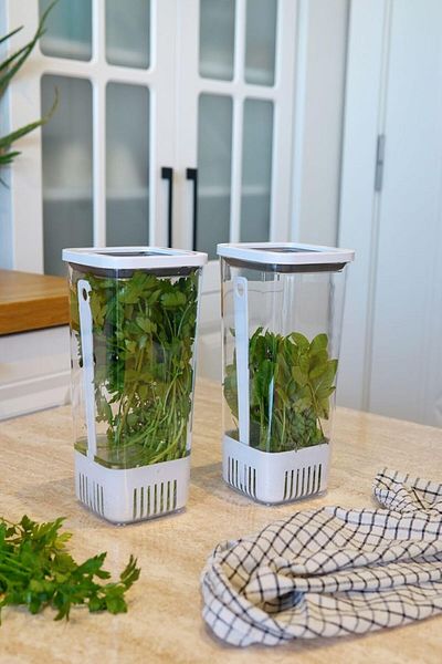 STOREMAX Bystoreby Ahmet Greenery Storage Container 2-Piece Eco Set 1.7 Liters Newdesing 646268