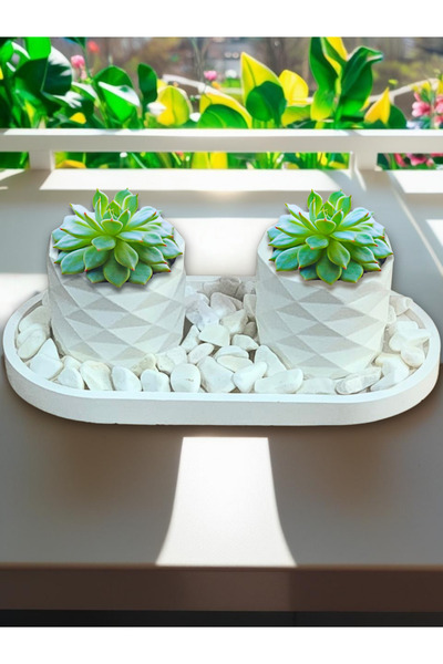 decoronay 2’li Sukulent Saksı & Dolomit Taşlı Tabak Seti (TAŞ DAHİL , BİTKİLE...