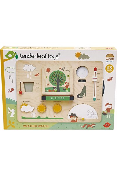 Tender Set de joaca din lemn Tender Leaf Toys - Statie meteo