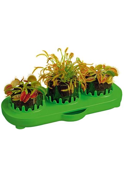 Kosmos Joc educativ Kosmos STEM - Plante carnivore