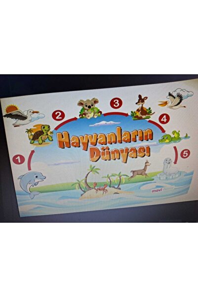 Mavi Deniz Yayınları MAVİDENİZ Yayınları Hayvanların Dünyası - 1-2-3- sınıf (...