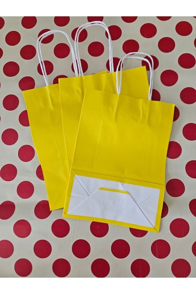 Nedi Büküm Saplı Karton Hediye Çantası 16x22x8cm (25adet)