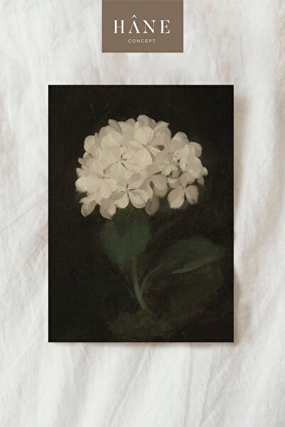 Hane Concept Vintage Beyaz Çiçek Poster, Sanatsal Baskı, Galeri Duvarı, Botanik Baskı