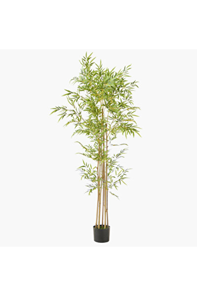 Home Box Teodora Artificial Bamboo Tree 180 cm