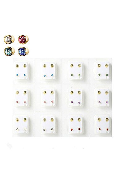 Müstesna Tıbbi Çelik Steril Kulak Delme Deldirme Küpesi Kulak Deldirme Küpe 12 Çift