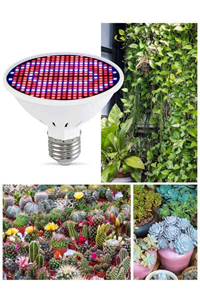 Müstesna Evde Bitki Bakımı Full Spectrum Yetiştirme Lambası Ampul Ampül Vitam...