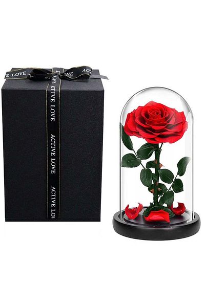Generic 1 Pc Red Preserved Rose Forever Never Withered Flowers Best Gift for Her
