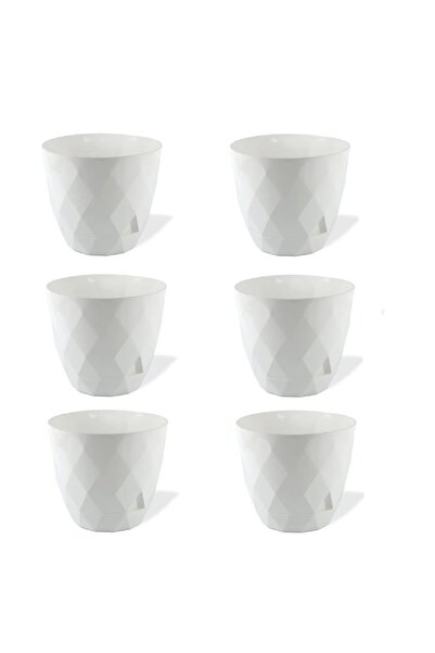 Asil Konsept 6 Adet 0,65 lt Küçük Boy Baklava Desenli Sert Plastik Sabit Taba...