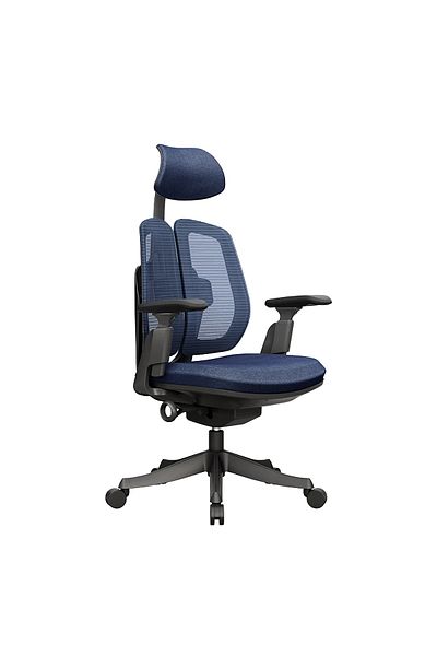 BACK COMFORT Dole Ergonomic Office Chair with Adjustable Headrest and 3D Armrests