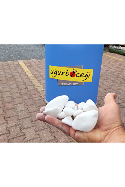 UĞURBÖCEĞİ TASARIM BEYAZ DOLOMİT 20 KG TORBALI 2-4 CM CEVİZ BOY BAHÇE VE SAKS...