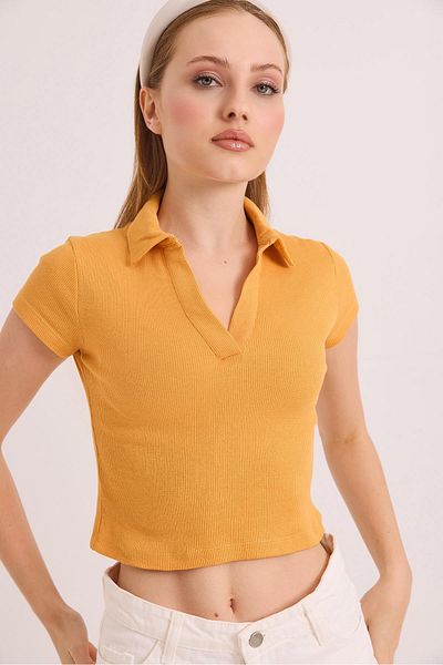 Raneel Kazançlı Alışveriş Polo Neck Basic Short Sleeve Knitted Camisole Crop Blouse Mustard